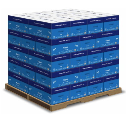Workplace Office Supply Continuity Program – 30 Day Operations Bundle
