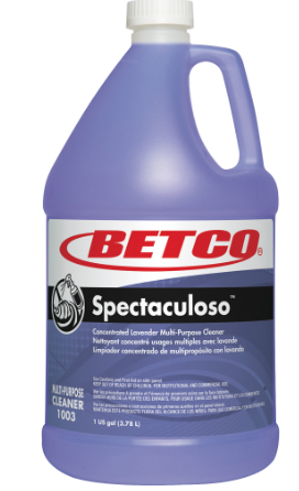 Multi-Surface Facility Sanitation Program – 30-Day Operational Cleaning Support