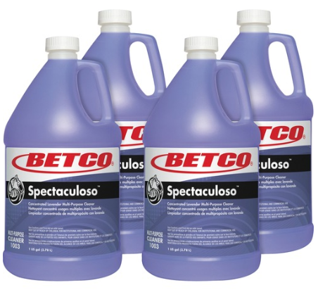 Multi-Surface Facility Sanitation Program – 30-Day Operational Cleaning Support