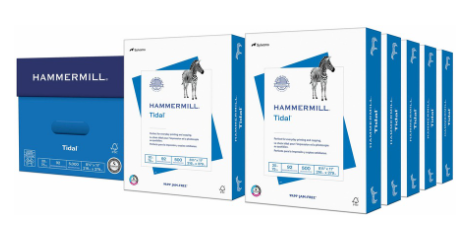 Workplace Office Supply Continuity Program – 30 Day Operations Bundle
